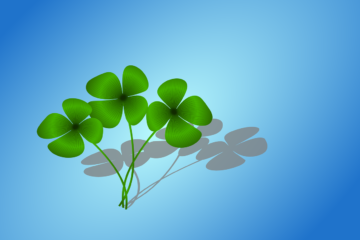 four leaf clover